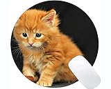 4. También es una buena idea enviarlo como un regalo a tus amigos;