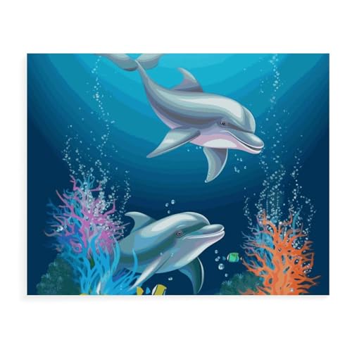 Peinture par numéros encadrés dauphin poisson kit d'art adulte 30x40 cm