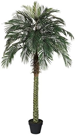 AMERIQUE AM23168CP525FT 7747A6M Gorgeous & Unique 6 Feet Tropical Palm Artificial Plant Tree, with Nursery Plastic Pot, Feel Real Technology, Green