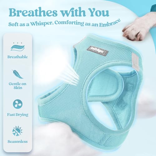Image of rabbitgoo Dog Harness Medium Sized and Leash Set, Step-in Puppy Pet Vest