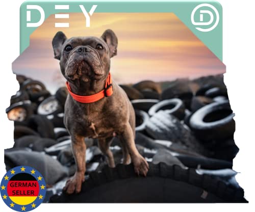DEY - Premium Hundehalsband Air Mesh | Verstellbar | für Kleine, Mittelgroße u. Große Hunde | viele Farben u. Größen | Halsband Hund Katzen | Hunde-Halsbänder | Welpen-Halsband | Orange, S