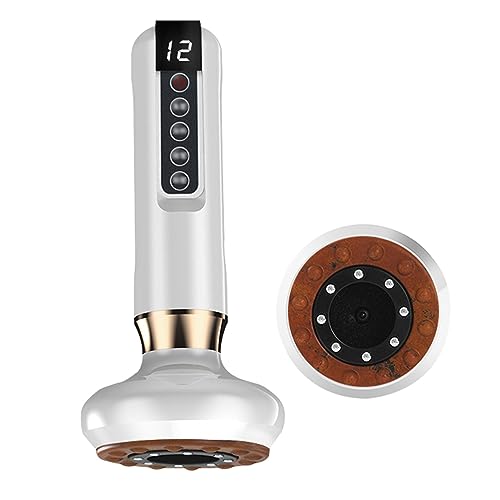 NICHOY Bian Stone Cupping Massager,Electric Gua Sha Instrument, Household Handhold Electric Scraping Instrument,Cupping Therapy Device, Electric Cupping Therapy Set(C)