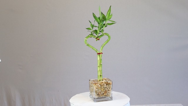 bonsai tree wood Copper Wire Bonsai Tree Sculpture on Petrified Wood Small – Elysian Workshop main image 1