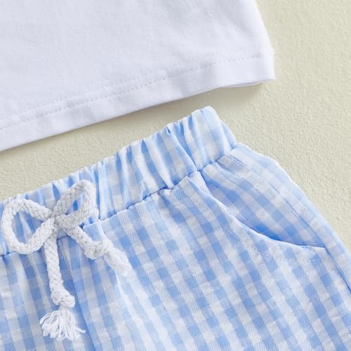 Image of Toddler Baby Boy Easter Rabbit Outfit Short Sleeve Bunny Carrot Smocked T-shirt Elastic Waist Shorts Summer Clothes