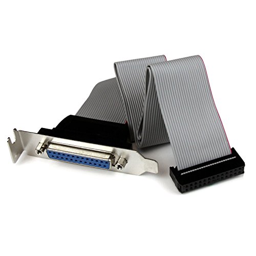 StarTech.com Low Profile 16in Parallel Port Header Cable Adapter w/ Bracket – DB25 to IDC26 Parallel Port Bracket DB-25 (F) to IDC 26 (F) (PLATE25F16LP), Gray