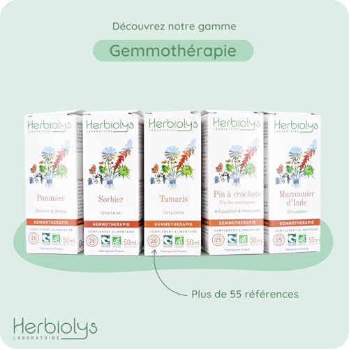 Macérat de bourgeons de cassis bio d'exception Herbiolys immunité supérieure - 2