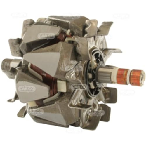Rotor, Alternador Hc-Cargo 232766-image