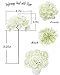 LUSHIDI 10PCS Silk Hydrangea Heads with Stems Artificial Flowers for Wedding Party Home Decor (Off White), One Size Off