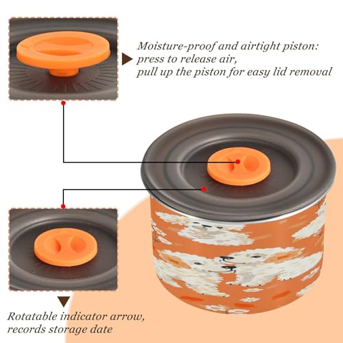 Contenedor de Almacenamiento de Café al Vacío de Acero Inoxidable 30oz miniatura 4