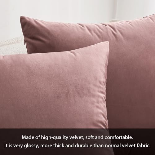 Image of MIULEE Pack of 2 Decorative Velvet Pillow Covers Soft Square Throw Pillow Covers Soild Cushion Covers Jam Pillow Cases for Sofa Bedroom Car 16 x 16 Inch 40 x 40 cm