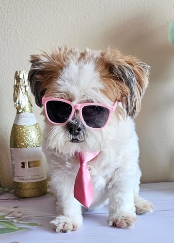 Set de Disfraz Retro para Perros Pequeños con Lentes y Corbata miniatura 6