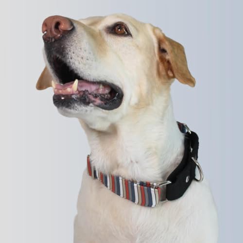 Image of Dog-O-Bow Black Multi-Stripe Martingale Dog Collar, Durable, Comfortable & Adjustable Training Collar (Extra Large)