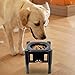 IEUDNS Pet Water Dispenser 3 Height Slow Speed Anti Dust Anti Swallow Anti Overflow Bowl Dog Food Bowl, Slow Feeder