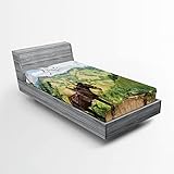 Ambesonne Donkey 2 Pack Fitted Sheet, Rural Columbia Mountains, Bed Cover All-Round Elastic Deep Pockets 2 Pieces, Package Contains 2 Twin XL Size Fitted Sheets, Multicolor