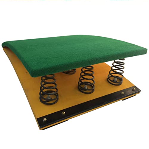OZBME Tabla elástica de 9 resortes para Salto de IDA y Vuelta, Equipo de Ayuda para Saltos, Suministros de Gimnasia para Salto de Altura y Longitud, B-60 x 120 cm/23,6 (A 60 x 120 cm/23,6)
