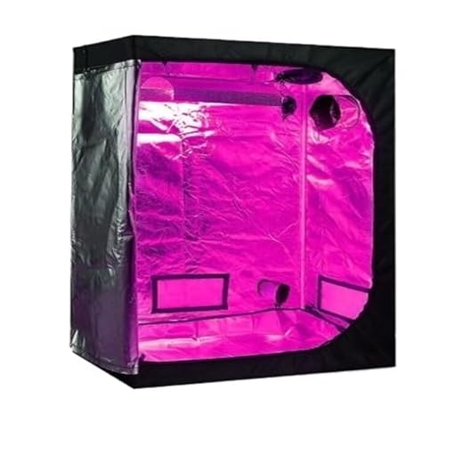 Pro BreezeTM Mini Ventilator mit Clip, sehr leiser Betrieb, 20 cm Durchmesser, 2 Geschwindigkeitsstufen - ideal als Tischventilator 15 Pflanzenlampe, Growzelt 1000 W Grow Voll-LED-Kit, hohes PPFD-Set, 4/6-Zoll-Kanalventilatoren, Aktivkohlefilter for Pflanzen(Tent 5,300x150x200cm kit)