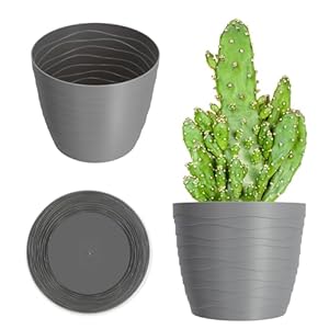 KADAX Bloempot van kunststof, diameter 11-19 cm, 7 kleuren, eenvoudige plantenpot, moderne plantenbak, robuuste bloempot, ronde pot, diameter 13 cm, grijs