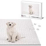 Dimensioni: 68 x 48 cm Puzzle Classico 1000 pezzi Cucciolo Labrador Bianco Bebe Cane Troppo Carino