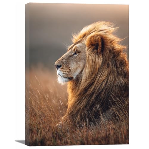 Toile lion sauvage doré décoration salon et grand tableau chambre