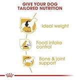 Royal Canin Beagle Trockenfutter für erwachsene Hunde, 12 kg