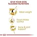 Royal Canin Beagle Trockenfutter für erwachsene Hunde, 12 kg
