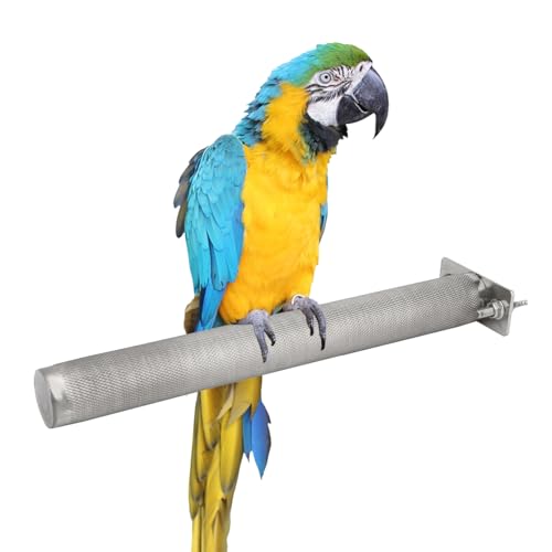 Perchoir perroquet inox XL support griffes oiseaux conures calopsittes