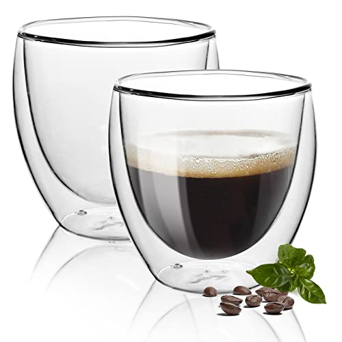 Top-spring Double Walled Glass Coffee Cups (250ml)