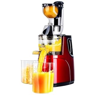 Commercial Cold Press Juicer Machine - Powerful Masticating Juicer for Whole Fruits & Vegetables, Efficient Juice Extraction & Residue Separation, Ideal for Healthy Raw Juice