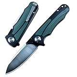 Y-START D2 Blade Hunting Pocket Knives Flipper Fast Open 2 Colors G10 Handle LK5030G (Black&green)