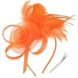 DRESHOW Fascinators Hats for Women Tea Party Fascinator Hats Tulle Fascinators Vintage 50s Headwear Cocktail Wedding Church Derby Hat