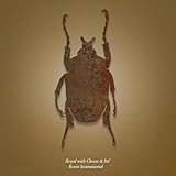 Roest (Instrumental)