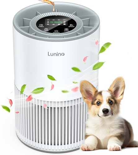 LUNINO H13 true HEPA air purifier