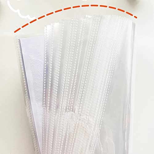 Dynwave Suporte de Armazenamento de Adesivos para fotografía 50 Folhas de Exibição de Proteção de fo