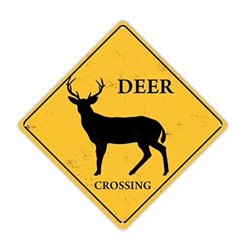 �A���~�j�E���m�x���e�B�u���L�Ŕ��B���e�[�W���g���������T�C���A�����T�C���A�L���r���T�C���A���x�����H�W�����O��W���z�[�����[���Ǐ���z����30.52cmx30.5 cm