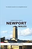 LUMIHIVE TRAVEL GUIDE TO NEWPORT WALES