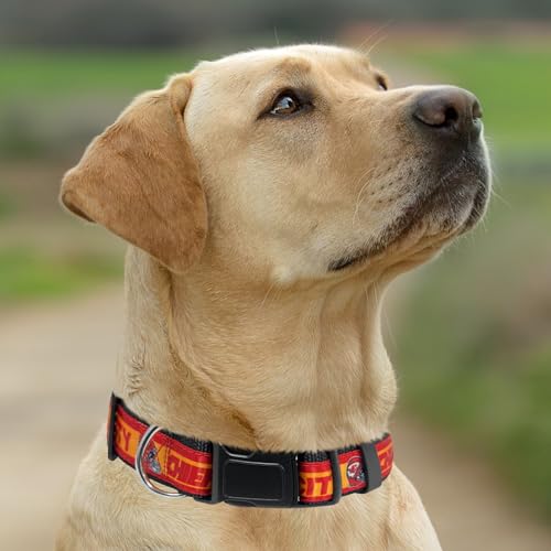 Pets First NFL Kansas City Chiefs Hundehalsband, lizenziert, mittelgroß, strapazierfähig, robust und langlebig, erhältlich in 31 Fußballmannschaften und 4 Größen