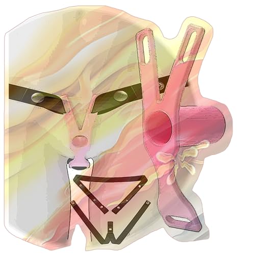 Male Flat Protection Cage with Waist Strap, Portable Negative Inverted Cage for Sissy Men -USXA04 (Pink, Long)