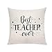 VAVSU Doceńcie prezenty dla najlepszych nauczycieli 45 x 45 cm kwadratowy kształt poszewki na poduszki ochraniacze na poduszki sofa biuro krzesło poszewki na poduszki dla nauczycieli dzień ukończenie szkoły prezenty