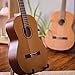 Cordoba C3M Classical Guitar