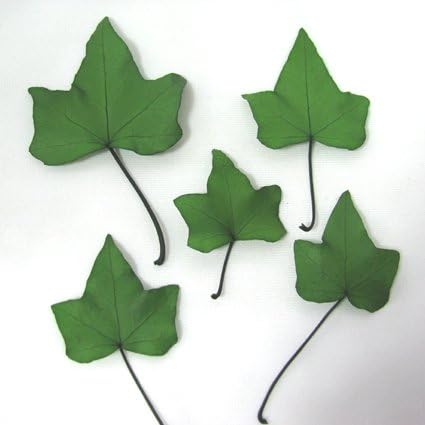 Amazon アイビー グリーン 5枚入り プリザーブドフラワー リーフ ピッツバーググリーン プリザーブドフラワー オンライン通販