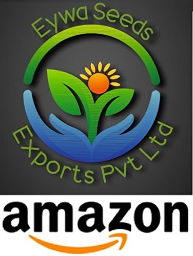 Image of Eywa Seeds & Exports Pvt Ltd Organic Sonamoti Wheat /Pagambari Wheat Flour (2 Kg) For Eating And Cooking|Sonamoti Golden Daane Wheat|Produce Of India From Organic Farms By Eywa