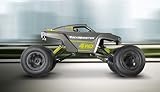 24462 RC Crawler "Rock Monster"