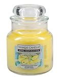 Yankee Candle Lemon-Lime Popsicle | Bright and Sunny Lemon with Hint of Lime and Mint | Zesty Summer Refresher Fragrance | Small Jar | 104g | Up to 30 Hours Burn Time