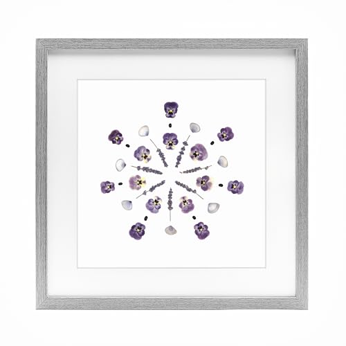 'Pansies & Lavender Symmetry'| Framed Print Under Glass