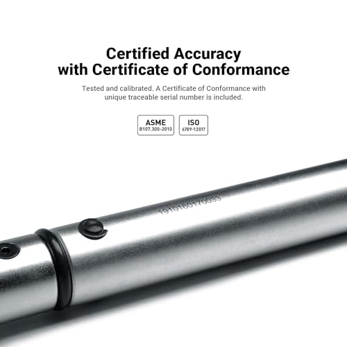 Capri Tools 31202-250FL 30-250 Foot Pound Industrial Torque Wrench, 1/2" Drive, Matte Chrome