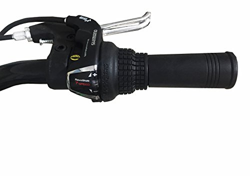 Buy Hi-Bird Hi-Bird Robust 7 Speed 26 