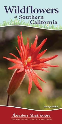 Wildflowers of Southern California: Your Way to Easily Identify Wildflowers (Adventure Quick Guides)