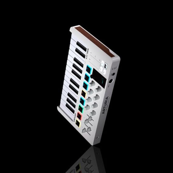 Arturia Minilab MKII 25 Slim Key Controller Keyboard + Deluxe Sustain Pedal and USB Cable Bundle Liquid Audio