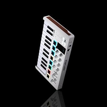 Arturia Minilab MKII 25 Slim Key Controller Keyboard + Deluxe Sustain Pedal and USB Cable Bundle Liquid Audio