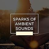 Ambient 1 Records